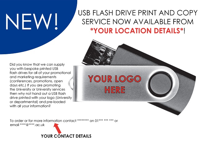 Custom flash drive flyer